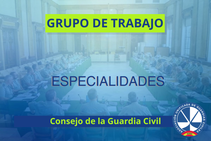 Comunicado del grupo de trabajo sobre normativa de especialides: UEI, Servicio Aéreo y Seprona
