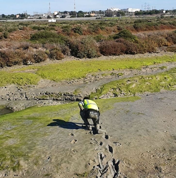 Cuando los servidores de la ley se bajan al barro