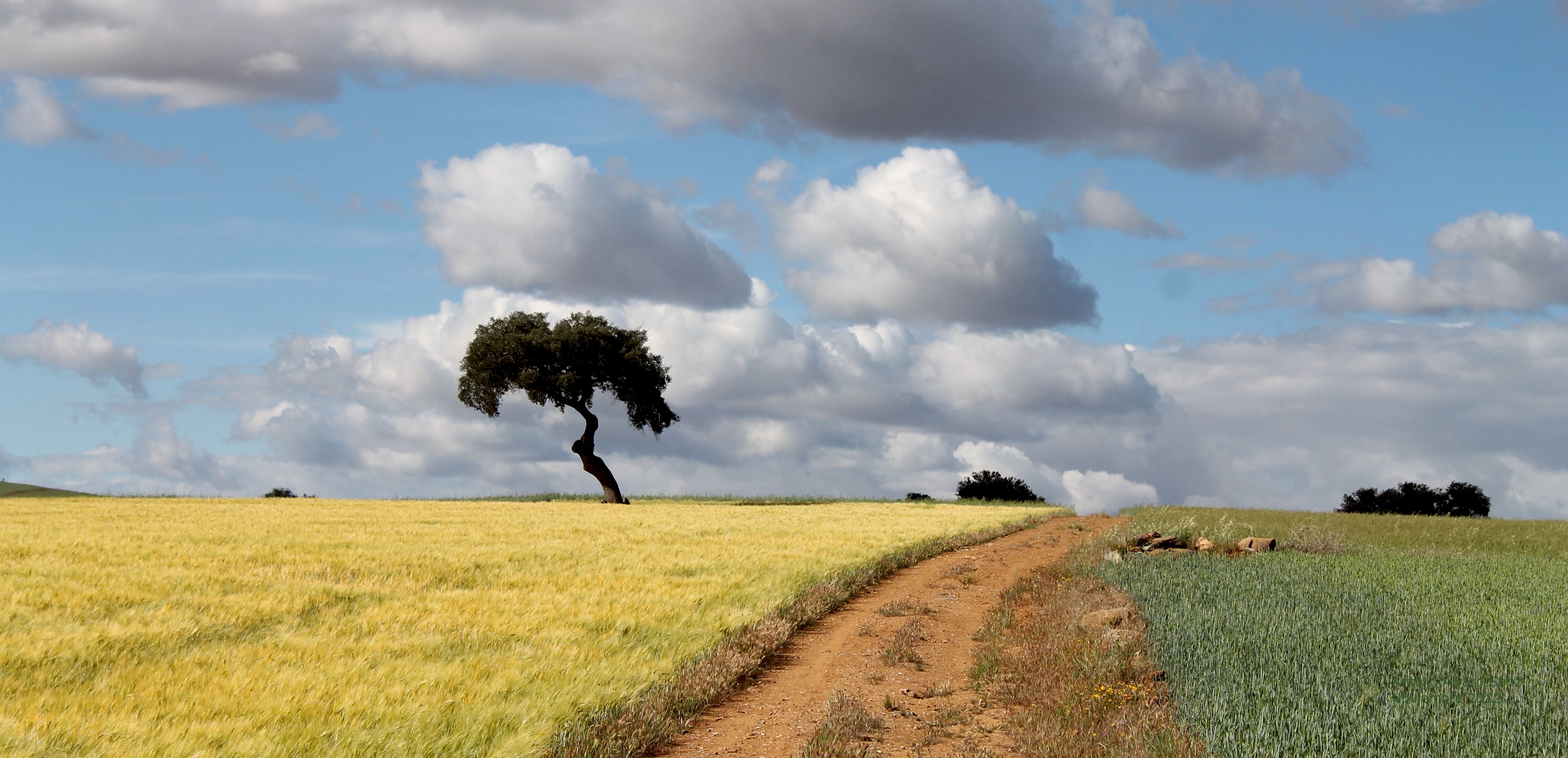 Algunos responsables de la Guardia Civil en Badajoz no distinguen un campo de tiro de una cañada real