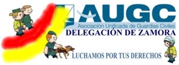 REMISIÓN DE INSTANCIAS
