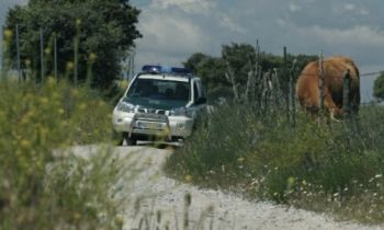 Seis expedientes  un mes a dos guardias civiles de SEPRONA de Vitiguidino.