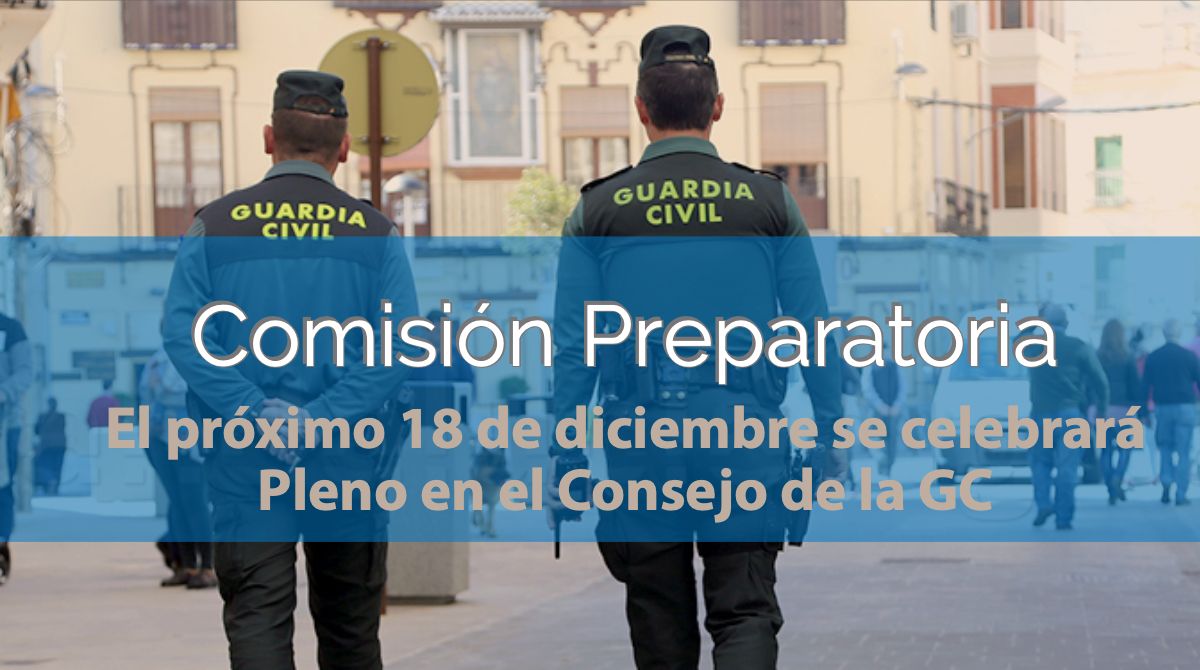 Resumen de la Comisión Preparatoria del Pleno del Consejo de la Guardia Civil del mes de diciembre de 2018