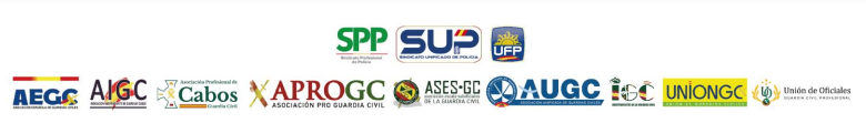 Plataforma de policías nacionales y guardias civiles en defensa de la seguridad encomendada a las FFCCSE