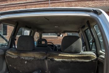 Así están los vehículos en Alicante: hasta una plaga de garrapatas