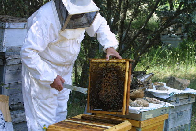 AUGC vuelve a ganar en los Tribunales aquello que la Guardia Civil le niega por sistema a sus trabajadores.