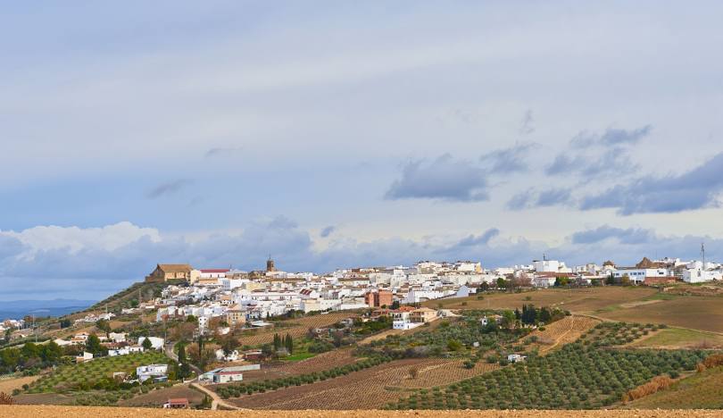 Montilla es el cuarto municipio andaluz donde más crece la criminalidad convencional