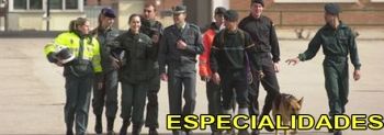 Reunión para exponer la problemática en la especialidad de Armamento y Equipación Policial