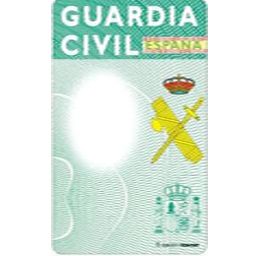 Nueva T.I.P. y elecciones al Consejo 2013