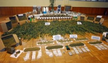 AUGC  EXIGE SE TOMEN MEDIDAS CONTRA EL ANTERIOR COMANDANTE DE PUESTO DE SAN PABLO DE LOS MONTES ANTE SU PASIVIDAD TRAS LA DENUNCIA DE UN IMPORTANTE DELITO RELACIONADO CON EL NARCOTRAFICO