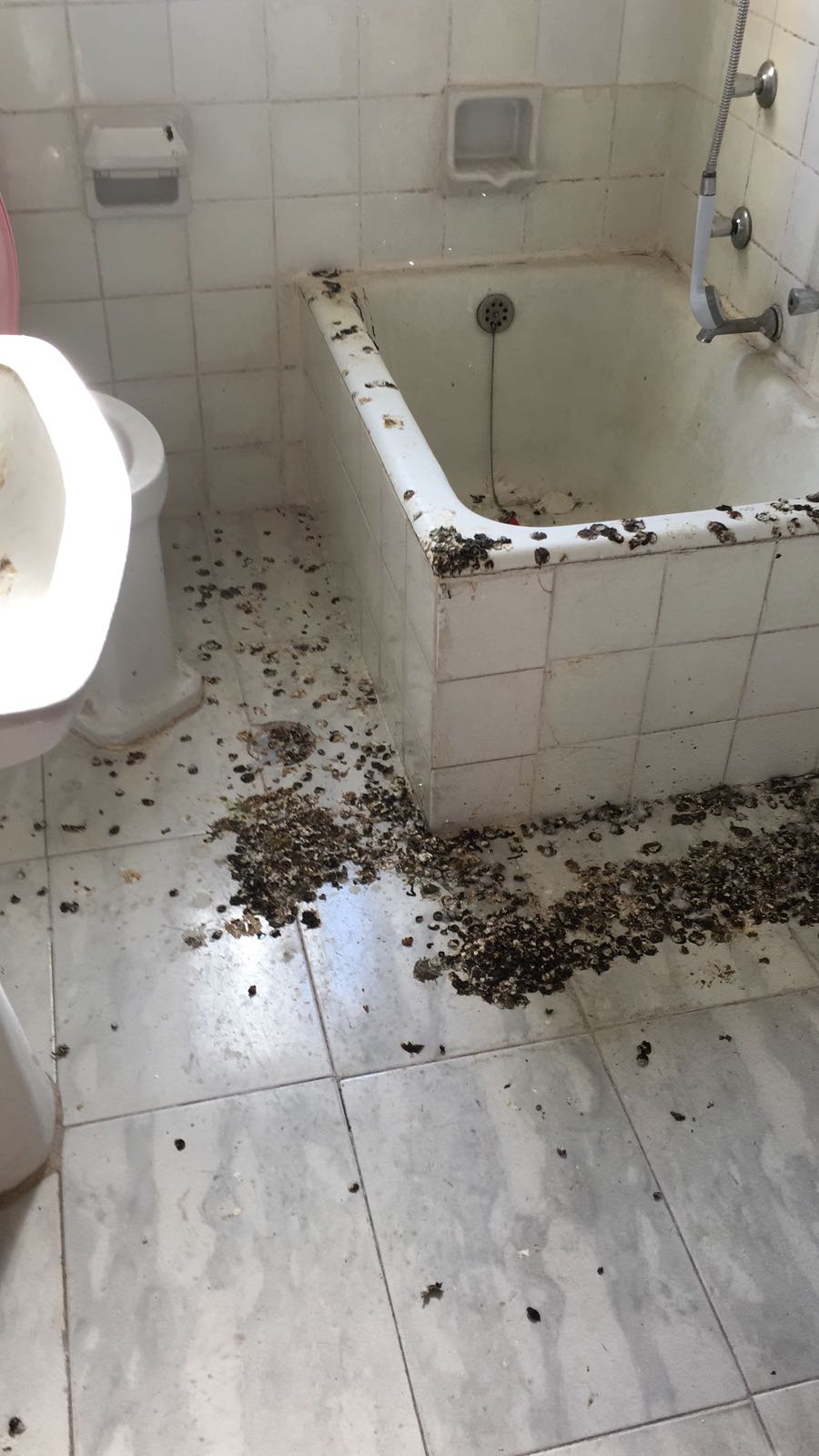 AUGC Toledo denuncia el lamentable estado de los pabellones destinados a los guardias civiles