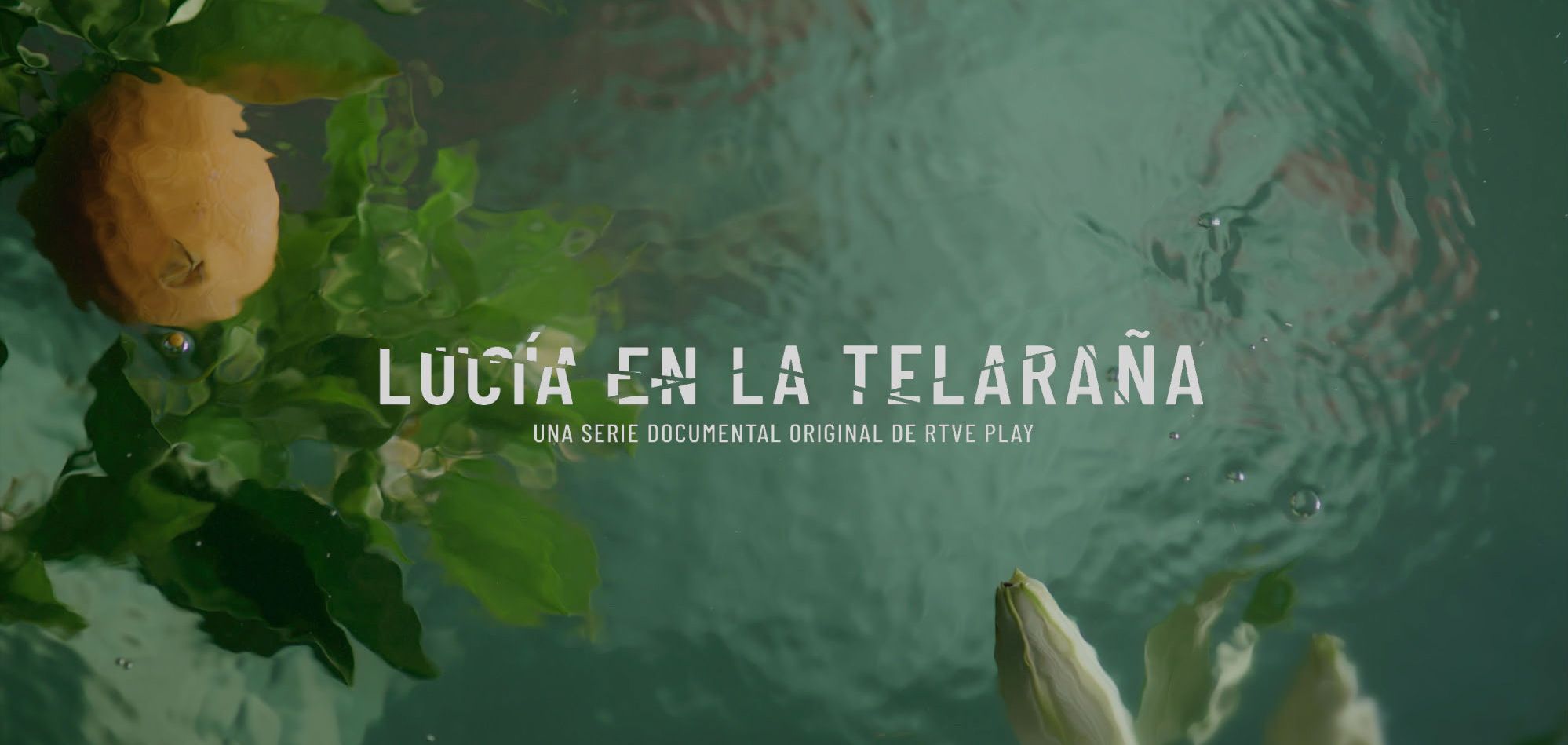 “La Guardia Civil habría salido muy malparada en el caso del crimen de Lucía Garrido si no existiera AUGC”