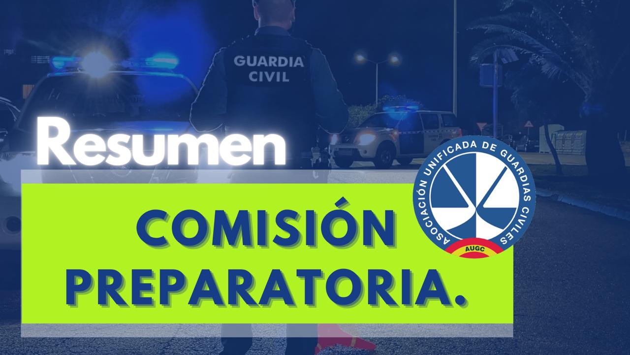 RESUMEN COMISIÓN PREPARATORIA NOVIEMBRE 2025.