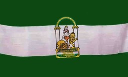 Reunión Plenaria de la Federación Andaluza de AUGC, el 8 de junio