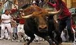 Subsector de Navarra: Eliminan los descansos del Equipo de Atestados de Pamplona