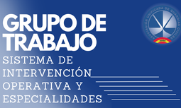 Resumen del Grupo de Trabajo sobre la Modificación de Sistema de Intervención Operativa y Especialidades