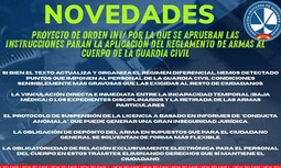 Grupo de Trabajo: Proyecto de Orden Ministerial sobre aplicación del Reglamento de Armas en la Guardia Civil