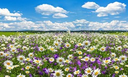 Marzo nos trae la primavera y nuevas ofertas de productos y servicios para afiliados a AUGC