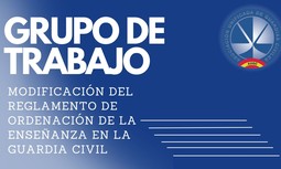 Resumen Grupo de Trabajo para la modificación del Reglamento de Ordenación de la enseñanza en la Guardia Civil