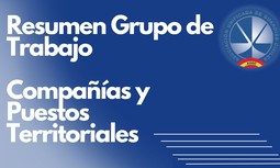Resumen Grupo de Trabajo sobre Compañías y Puestos Territoriales