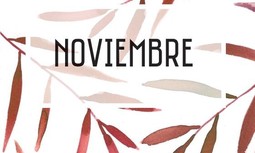 Consulta nuestro catálogo de ofertas de noviembre