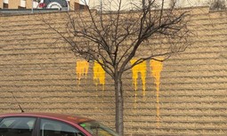 Acto vandálico contra la casa cuartel de la Seu d’Urgell: el estrés por el acoso independentista cambia los hábitos de los guardias civiles y sus familias