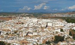 AUGC felicita a los guardias civiles de Puente Genil que ayer rescataron a dos ancianos en un incendio