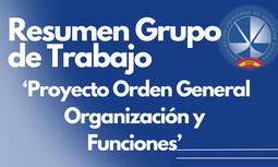 Resumen Grupo de Trabajo Proyecto Orden General Organización y Funciones OGCs
