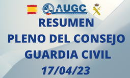 Celebrado Pleno del Consejo con asistencia de la nueva directora de la Guardia Civil