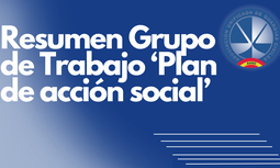 Resumen grupo de trabajo ayudas del Plan de Acción Social.
