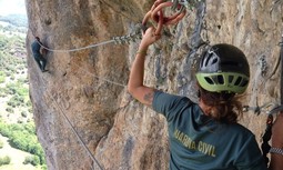 Novedades en el grupo de trabajo que desarrolla la futura Orden General de  Aspecto Físico y Trato al Ciudadano