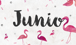 Descárgate el último boletín de ofertas y convenios para afiliados de AUGC