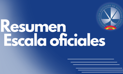 Resumen Grupo de Trabajo sobre normas de  evaluación, calificación y clasificación de formación para la incorporación a la escala de oficiales.