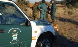 La Dirección General de la Guardia Civil suspende la reorganización del Seprona de la 5ª Zona de Murcia debido a la presión de AUGC