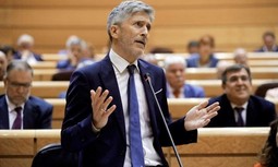 Pleno del Consejo: 2018 finaliza con la ruptura entre el director de la Guardia Civil y AUGC