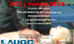 Fechas para cursos DESA en noviembre 2017.