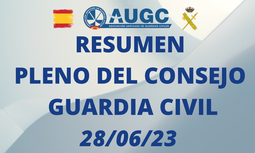 Resumen Pleno del Consejo de la Guardia Civil de junio 2023