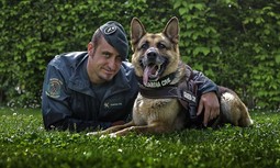 AUGC hace rectificar a la Jefatura de Enseñanza tras la publicación del III Curso de Complemento de Especialización Cinológica