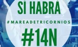 Boletín especial del 14N