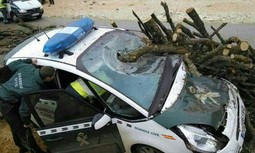 La DGGC  y la Inspección de Personal y Servicios de Seguridad no tratan la prevención de riesgos laborales en la primera reunión semestral