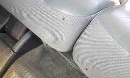 Así están los coches en la Guardia Civil: plaga de garrapatas en un todoterreno en Pamplona