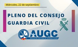 Resumen del último Pleno antes de las elecciones al Consejo de la Guardia Civil