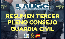 AUGC INFORMA: Tercer Pleno Consejo Guardia Civil 2019