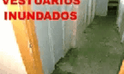 Denuncia el estado de tu Unidad