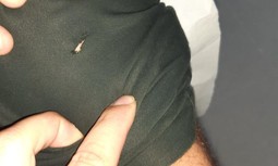 Ante una nueva agresión, AUGC Almería vuelve a denunciar la desprotección de los guardias civiles que trabajan en la provincia