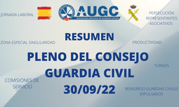 Resumen Pleno del Consejo de la Guardia Civil correspondiente al tercer trimestre