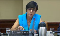 La Directora General de la Guardia Civil comparece en la Comisión de Interior con motivo del Proyecto de Ley de Presupuestos Generales del Estado