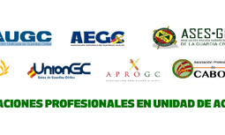 Primera reunión de la comisión de seguimiento del acuerdo de equiparación salarial en el ámbito de la Dirección General de la Guardia Civil