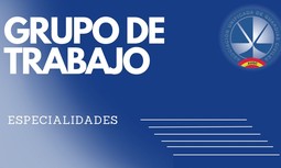 Resumen del Grupo de Trabajo que modifica la Orden PCM/509/2020, de 3 de junio, por la que se regulan las especialidades en la Guardia Civil