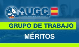 Segundo grupo de trabajo para la actualización de fichas de méritos