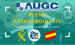 Las asociaciones solicitan explicaciones al Ministro del Interior y peticionan la celebración de un Pleno Extraordinario para aclarar la situación de la Guardia Civil en Navarra